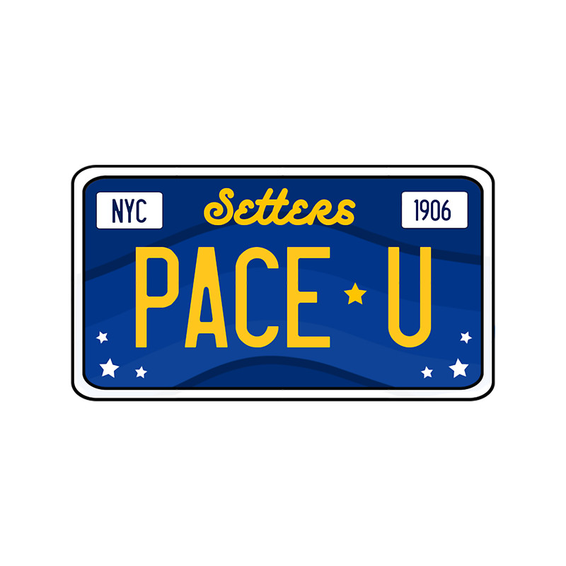 pace - license plate.png