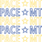 PACE MT (2).png