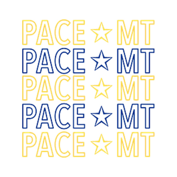 PACE MT (2).png