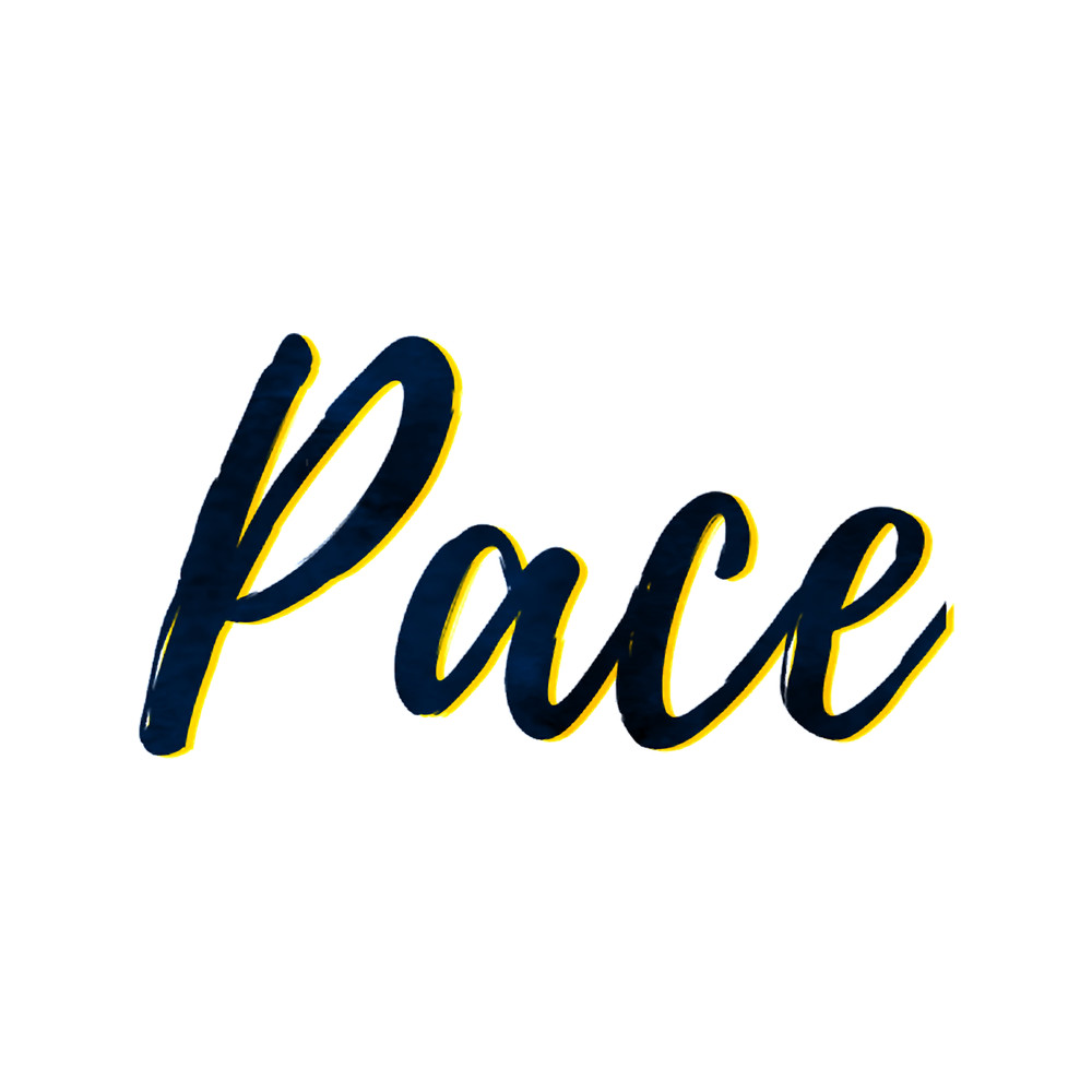 Pace University (3) .png
