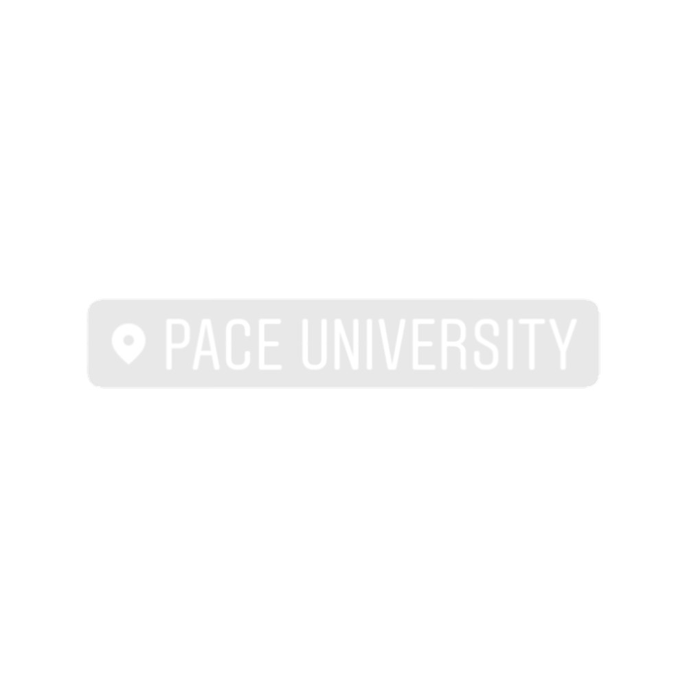 Pace University (5).png