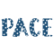 Pace University a(12).png