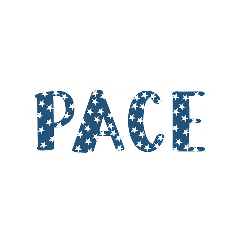 Pace University a(12).png