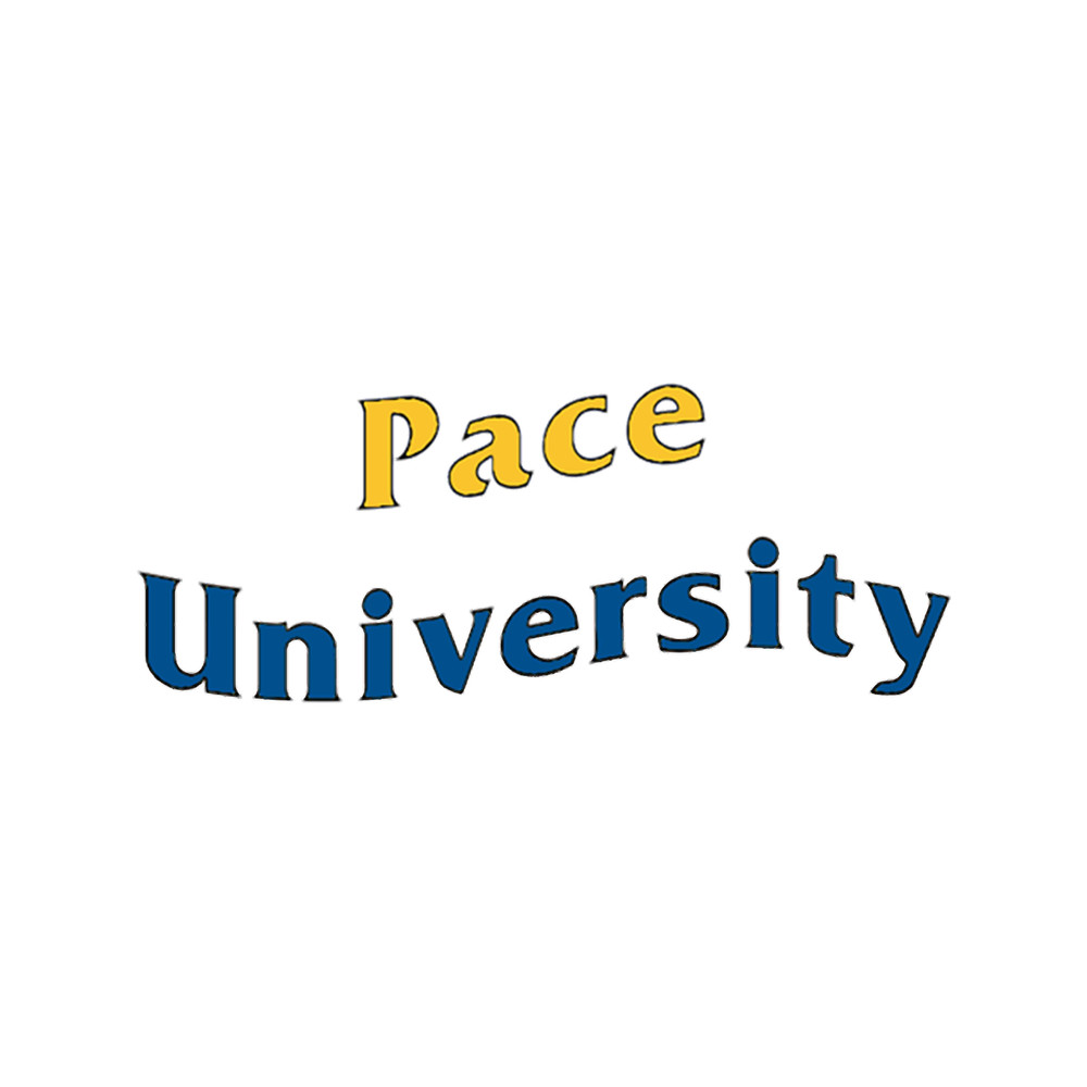PACE UNIVERSITY(2).png