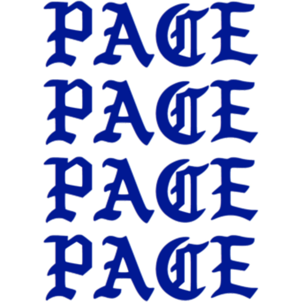 PACE University(12).png