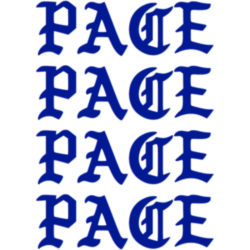 PACE University(12).png