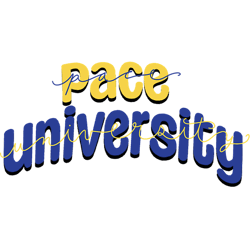 pace university3