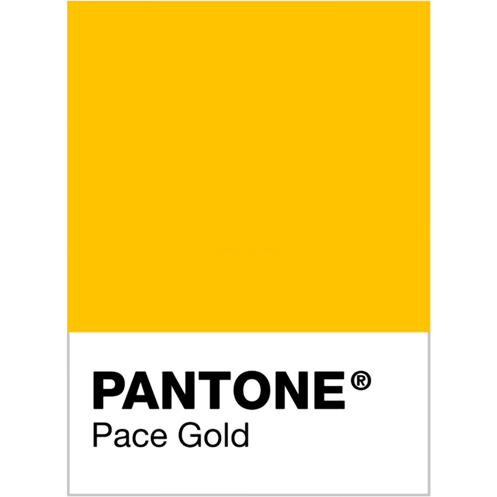 PANTONE - Pace Gold.png