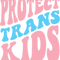PROTECT TRANS KIDS .png