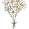 Wild Flower Bouquet.png