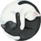 Yin Yang Balancing Cats.png