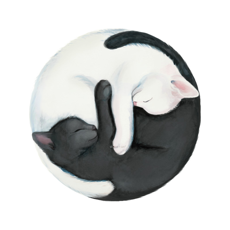 Yin Yang Balancing Cats.png