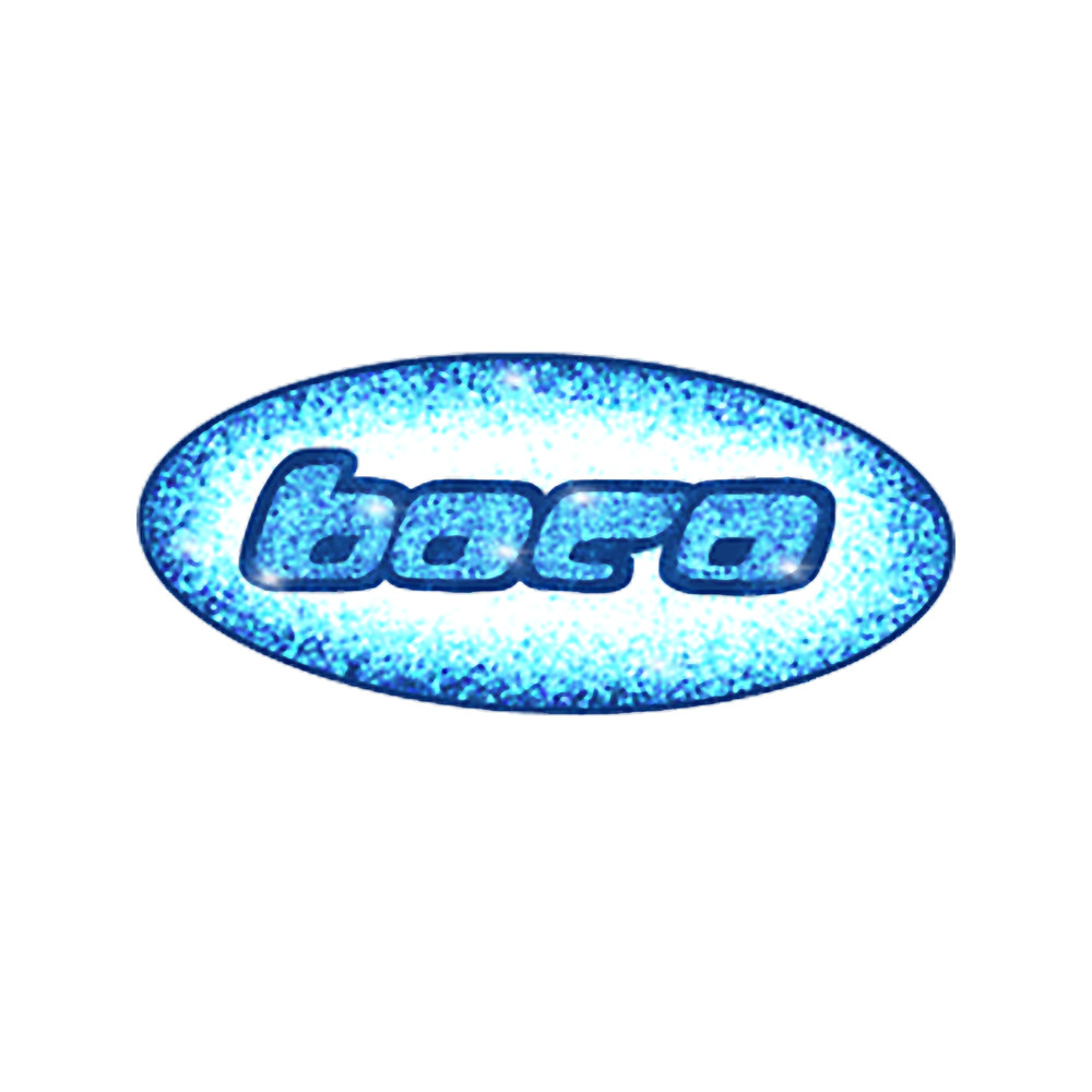 BoCo Boston Conservatory Sparkle.png