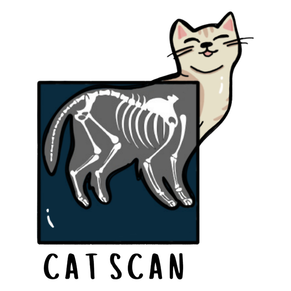 Cat Scan PunNursing, Medical, Radiology, Funny Science Long .png