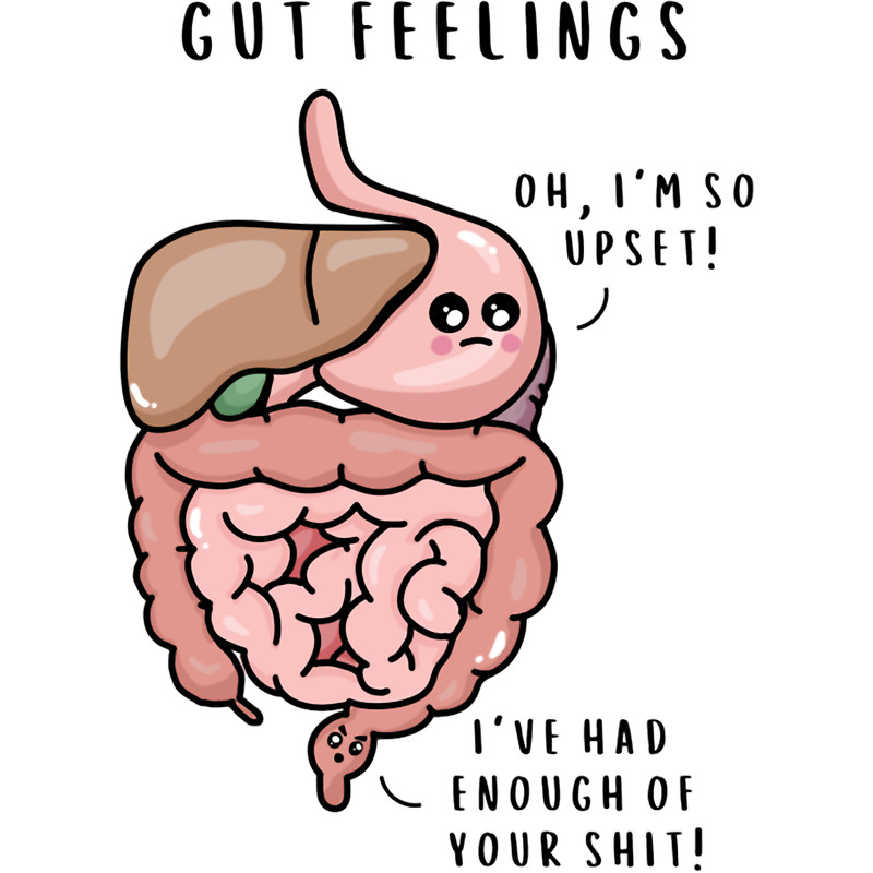 Digestive System PunScience Pun, Anatomy, Medical, Funny Science Long .png