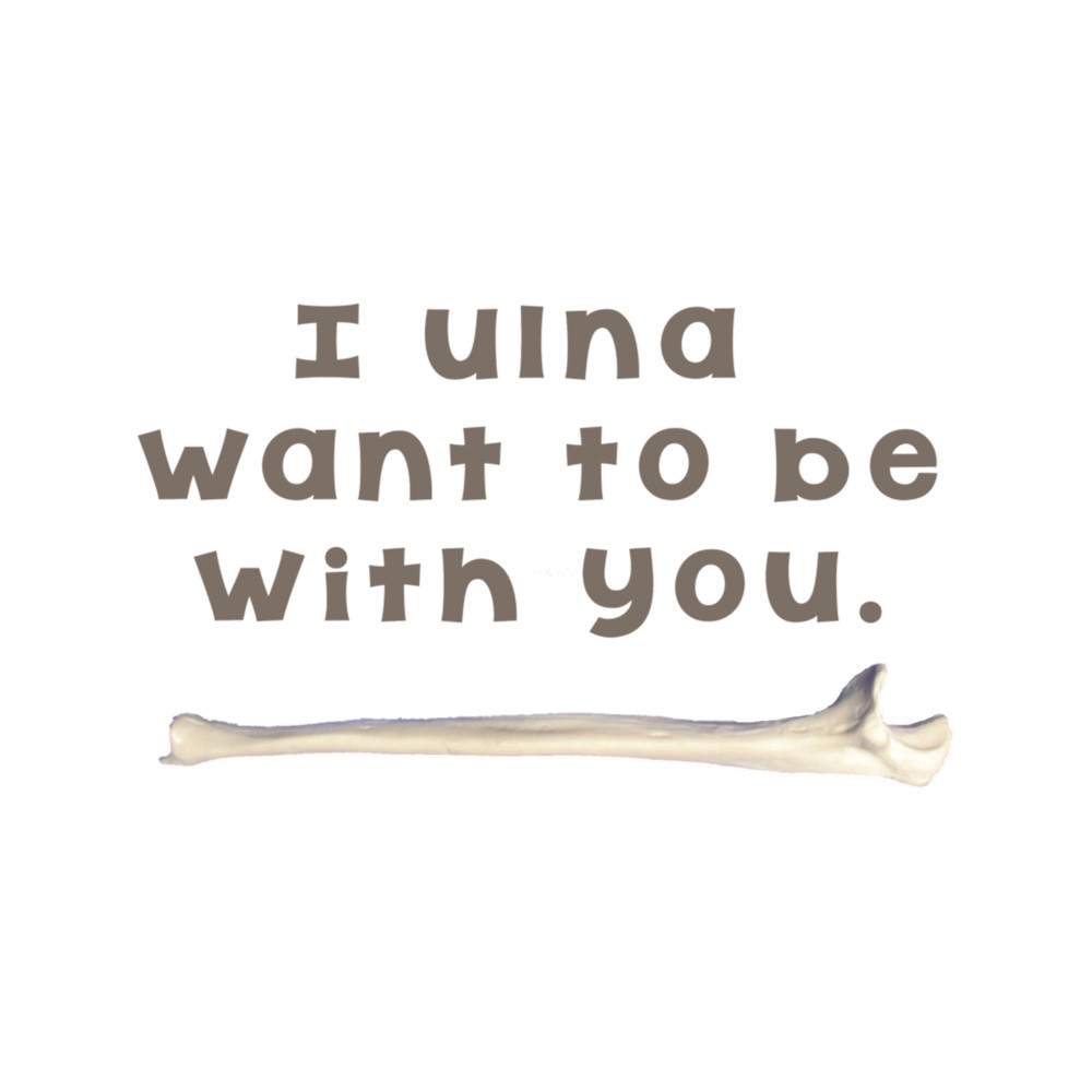Ulna Bone Pun .png
