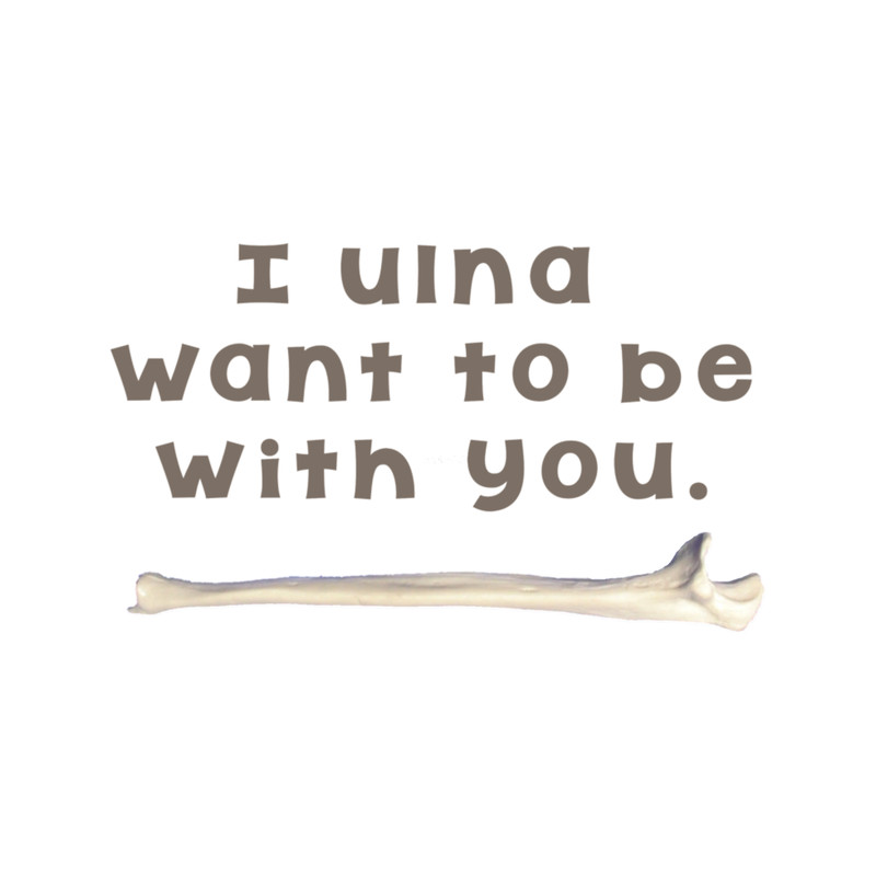 Ulna Bone Pun .png