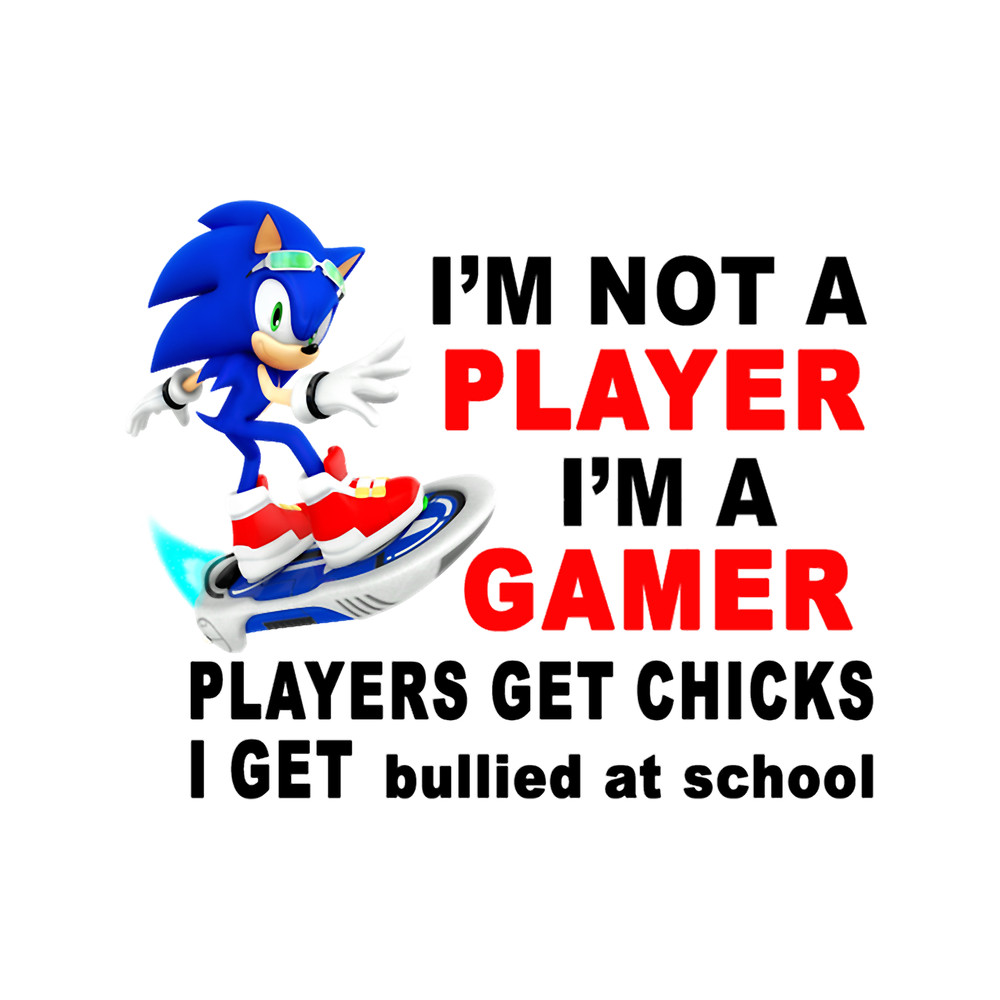 I_m Not A Player I_m A Gamer Players Get Chicks I Get Bullied at School.png
