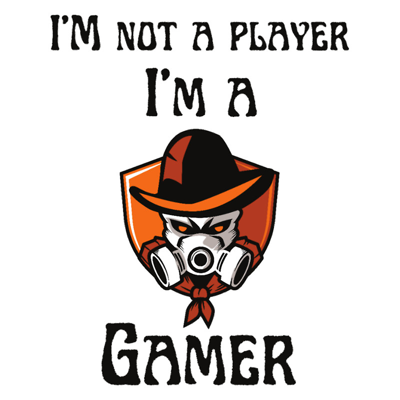 I_M NOT A PLAYER I_M A GAMER. .png