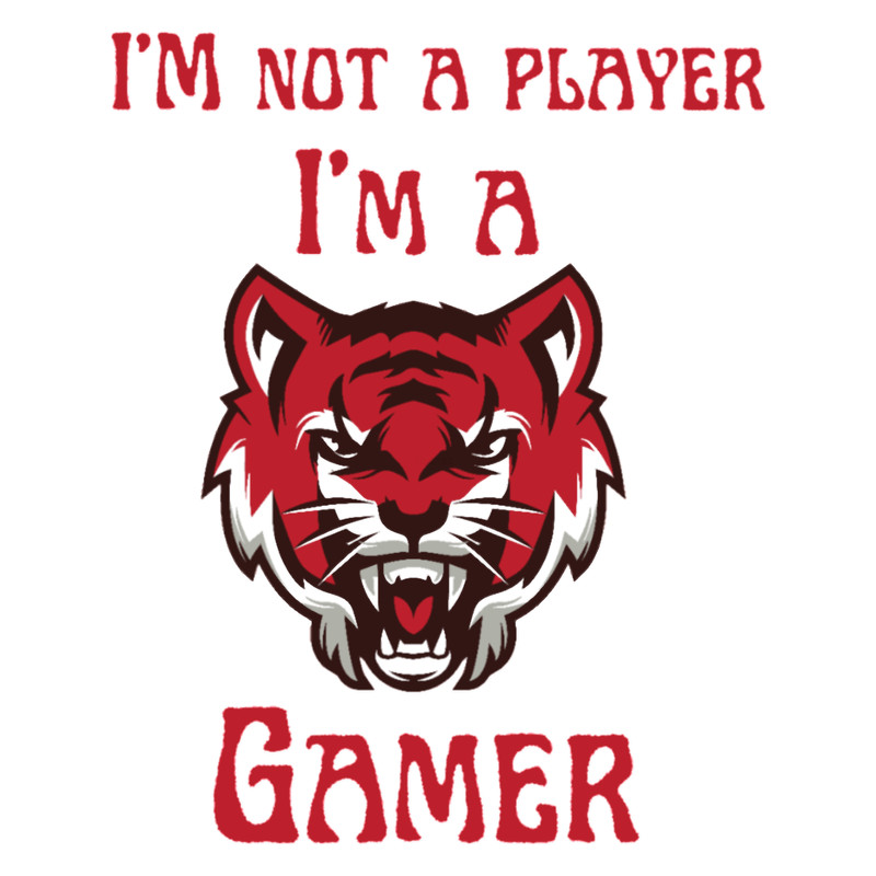 I_M NOT A PLAYER I_M A GAMER. (2).png
