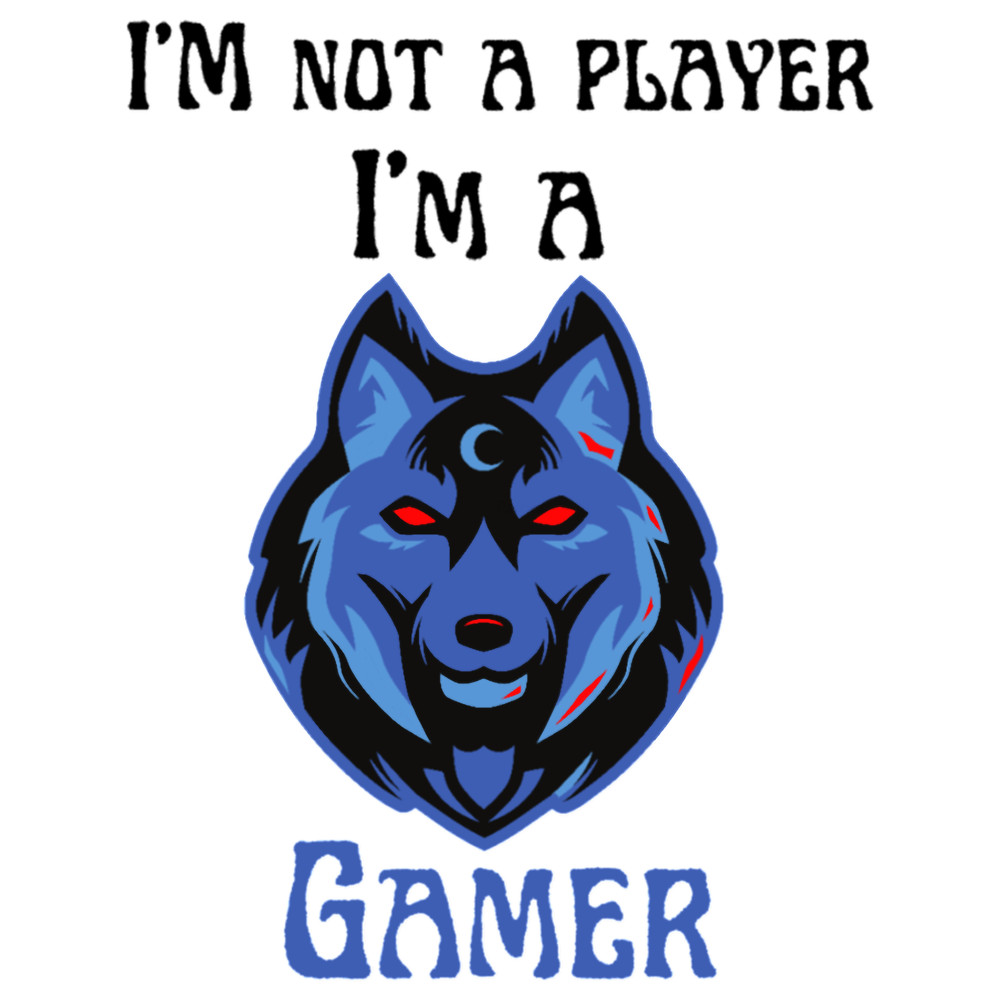 I_M NOT A PLAYER I_M A GAMER.(2).png