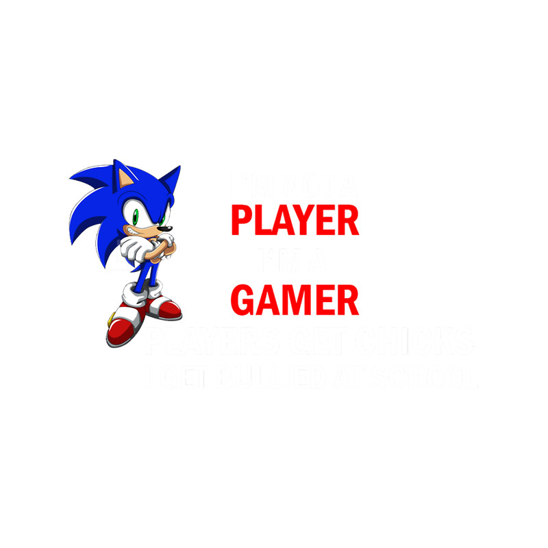 I_m not a player im a gamer Premium .png