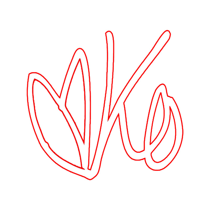 Karen O Yeah Yeah Yeahs (5).png