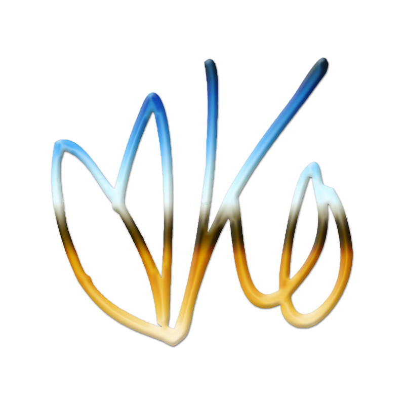 Karen O Yeah Yeah Yeahs(5).png