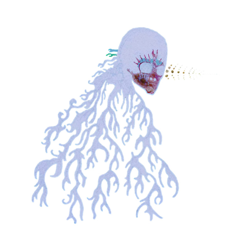 All Them Witches graphic 5 .png