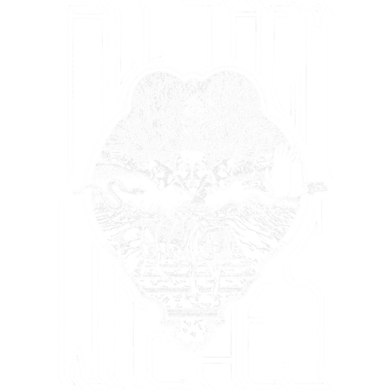 All, Them, Witches, Merch, American, Stoner, Rock, Band .png