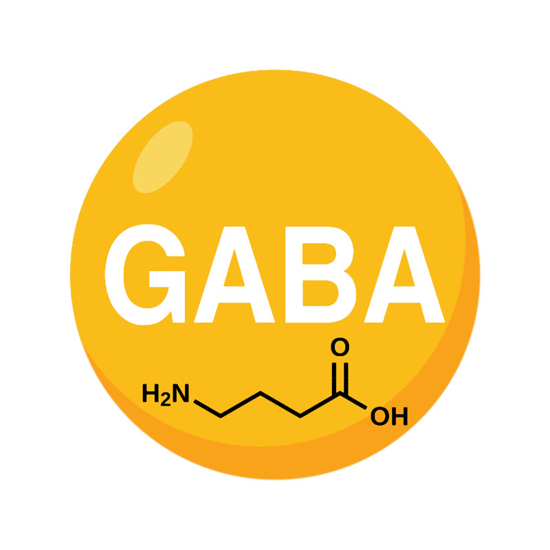 gaba (1).png
