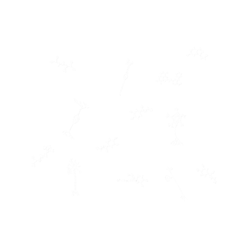 Neurons and Neurotransmitters Blue.png