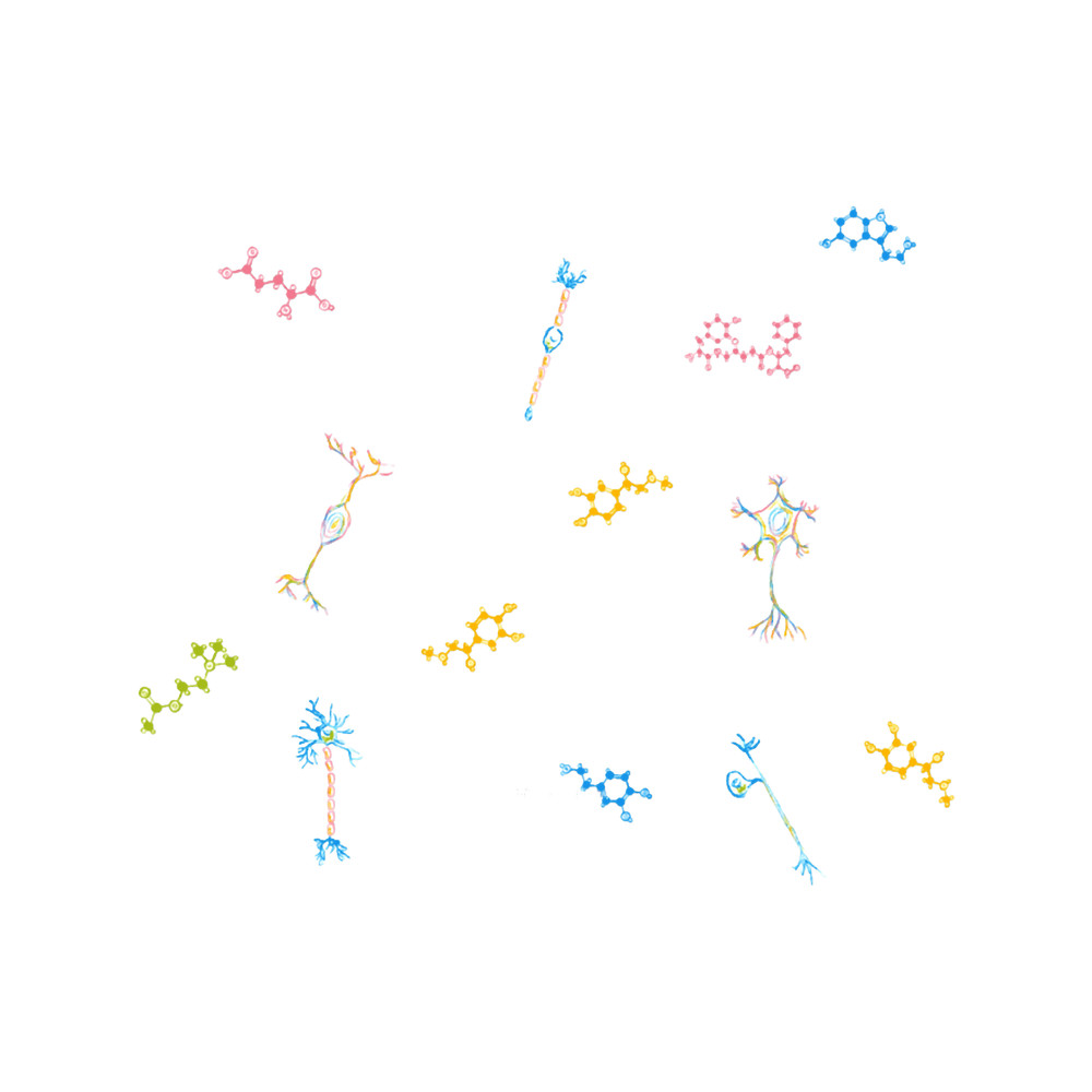 Neurons and Neurotransmitters Rainbow.png