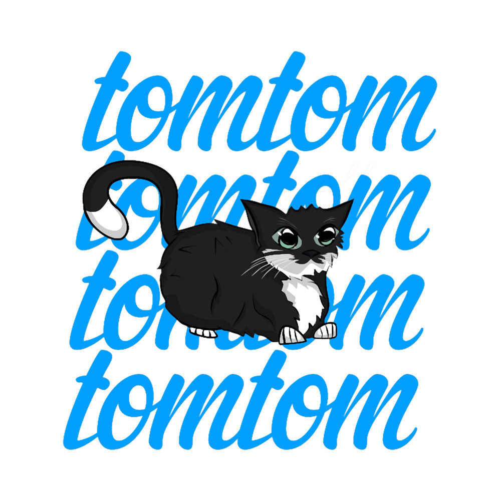 TomTom 1.png