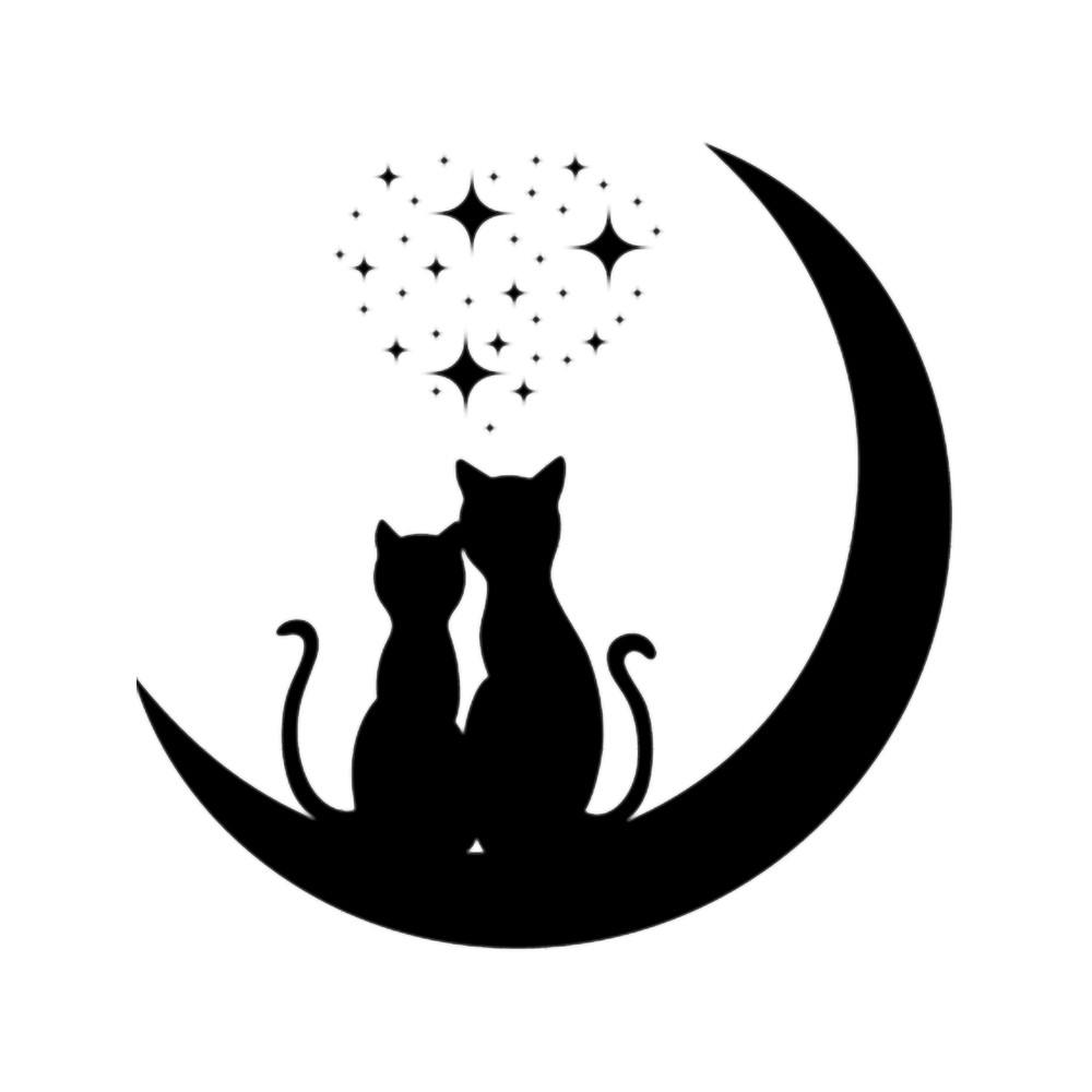 Cat With Moon _ Stars Graphic.png