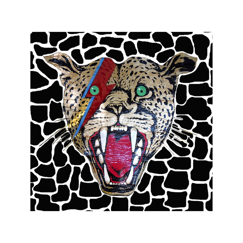 Street Walking Cheetah on black, large head.png