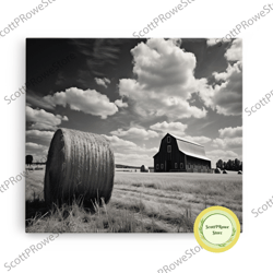 black and white florida rain storm, framed canvas print, liminal art, liminal spaces, framed wall art, office decor, dar