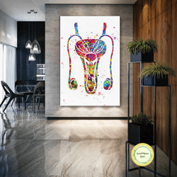 urologist wall art, male reproductive system canvas art, roll up canvas, stretched canvas art, framed wall art painting