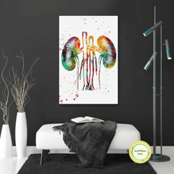 urologist wall decor, kidney system wall art, body system canvas art, roll up canvas, stretched canvas art, framed wall