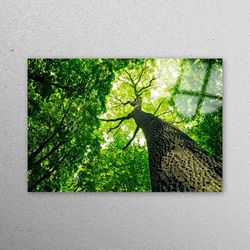 glass printing, workplace decor, glass art, big tree workplace decor, green glass wall art, landscape glass wall, old tr