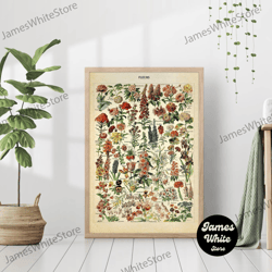 vintage flowers botanical chart wall art antique science illustration retro boho cottagecore room decor canvas nature pr
