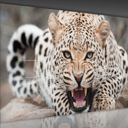 tiger poster wall art canvas print, tiger surfing photo,wild life canvas art, animal canvas print, animal print, wild li