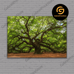 high quality decorative wall art, angel oak tree wall art canvas, vintage tree print, nature poster, large oak tree of l