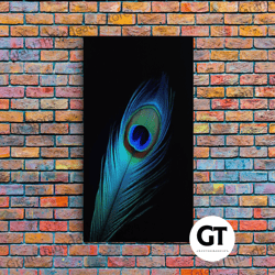 a lone peacock feather, framed decorative wall art, feather photography, beautiful colorful peacock art