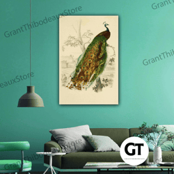 green winged peacock with oil painting effect roll up canvas, stretched canvas art, framed wall art painting