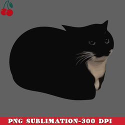 maxwell the cat png download