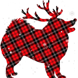 Dog Samoyed Red Plaid Buffalo Samoyed Dog Merry Christmas
