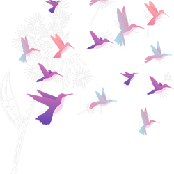 Dandelion Hummingbird Flower Birdwatcher Herbalist PNG T-Shirt