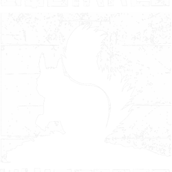 funny squirrel whisperer gift squirrel lover men women kids 22 png t-shirt