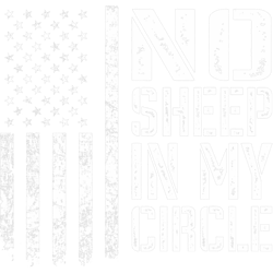 No Sheep In My Circle 2USA Patriotic Lions Wolves Not Sheep PNG T-Shirt